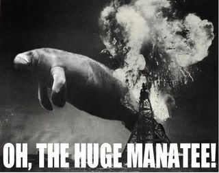 http://img.photobucket.com/albums/v431/insanecowstar/manatee.jpg