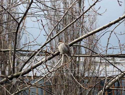  photo IMG_4405.jpg