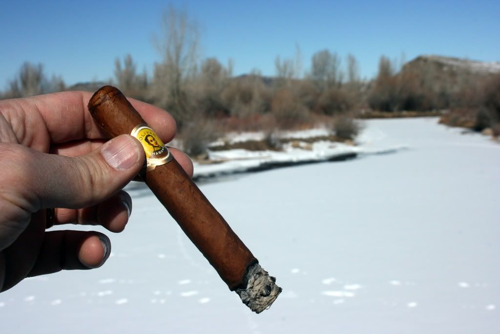Bolivar2006.jpg