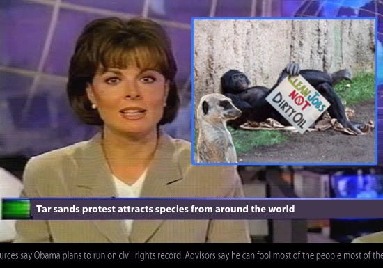 tar sands animals