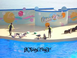 oceanpark