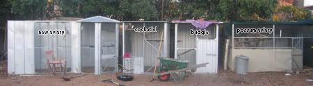 Backyard.jpg