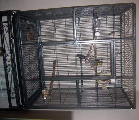 NewCage.jpg