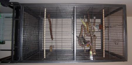 NewCage1.jpg