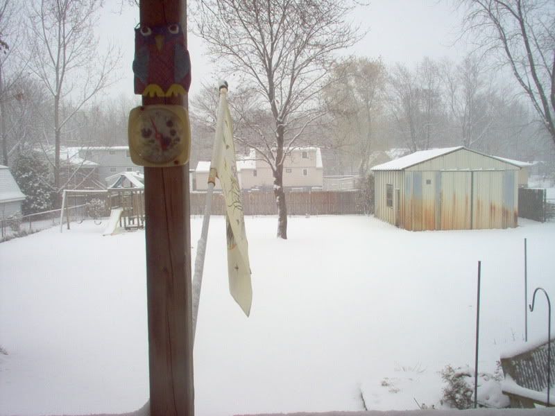 IM000916.jpg