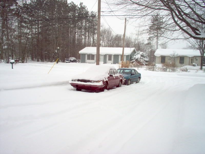 IM000481.jpg