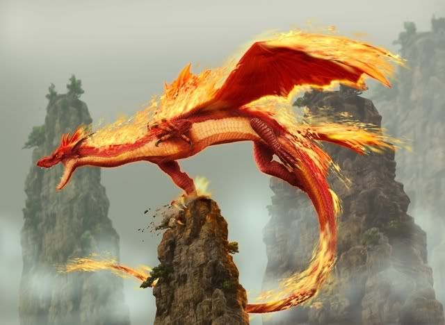 Fire dragon Pictures, Images and Photos