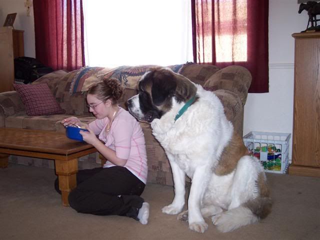 IMAGE: http://img.photobucket.com/albums/v436/cfpackerfan/100_3553Small.jpg