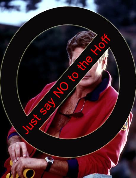 IMAGE: http://img.photobucket.com/albums/v436/cfpackerfan/David-Hasselhoff-bw01-1.jpg