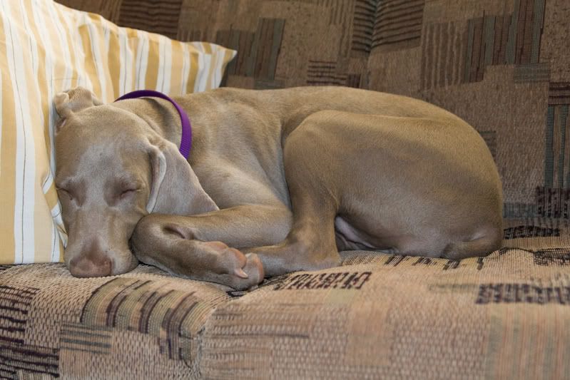 IMAGE: http://img.photobucket.com/albums/v436/cfpackerfan/IMG_0112.jpg