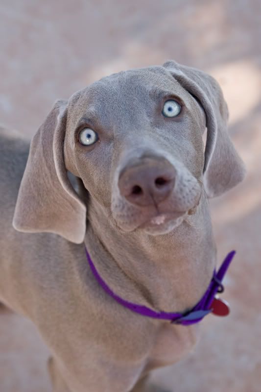 IMAGE: http://img.photobucket.com/albums/v436/cfpackerfan/IMG_0127.jpg