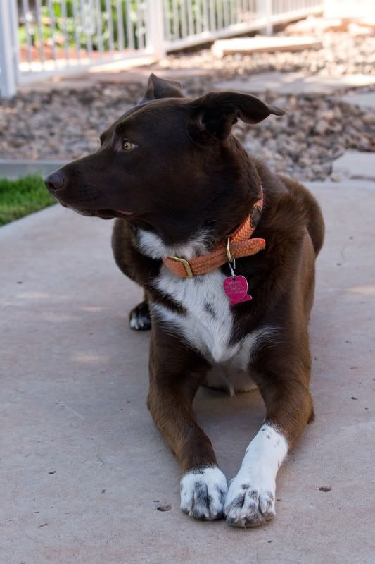 IMAGE: http://img.photobucket.com/albums/v436/cfpackerfan/IMG_0158.jpg