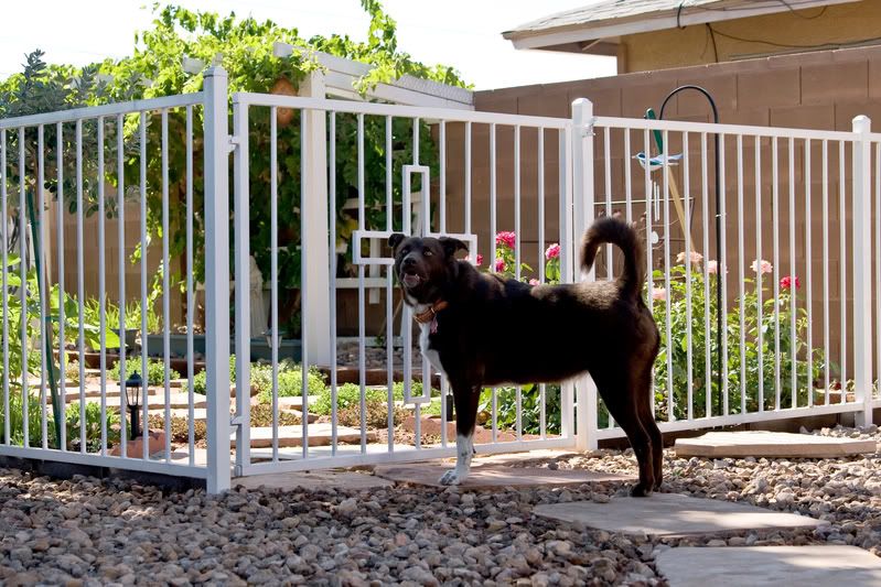 IMAGE: http://img.photobucket.com/albums/v436/cfpackerfan/IMG_0166.jpg