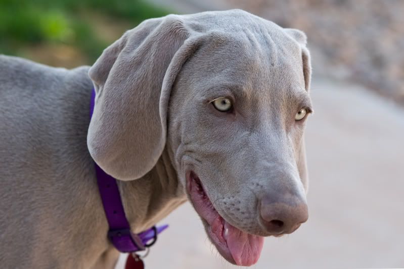 IMAGE: http://img.photobucket.com/albums/v436/cfpackerfan/IMG_0170.jpg