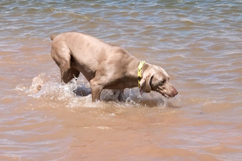 IMAGE: http://img.photobucket.com/albums/v436/cfpackerfan/IMG_2755.jpg