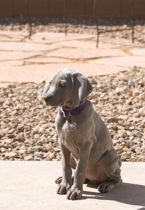 IMAGE: http://img.photobucket.com/albums/v436/cfpackerfan/IMG_5039-01.jpg