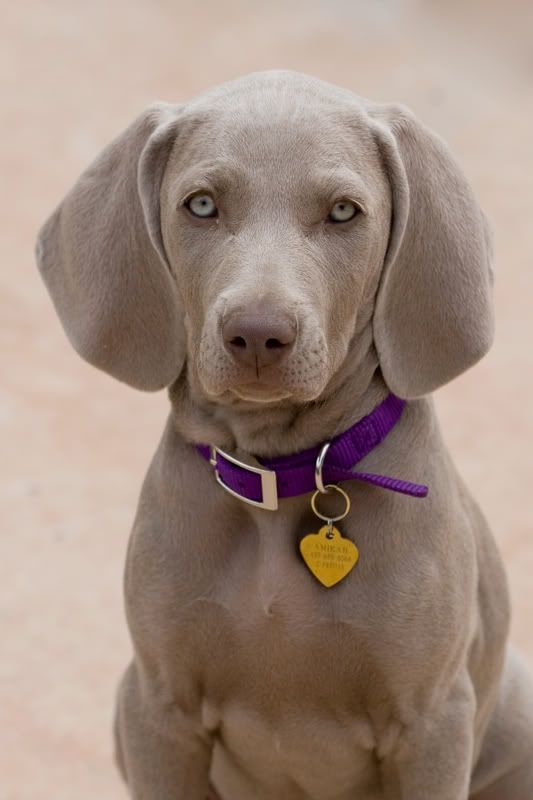 IMAGE: http://img.photobucket.com/albums/v436/cfpackerfan/IMG_5065-2.jpg