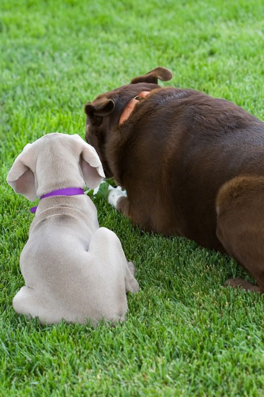 IMAGE: http://img.photobucket.com/albums/v436/cfpackerfan/IMG_50742.jpg