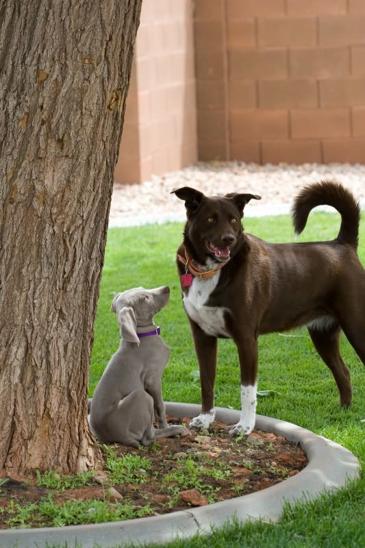 IMAGE: http://img.photobucket.com/albums/v436/cfpackerfan/IMG_5111.jpg