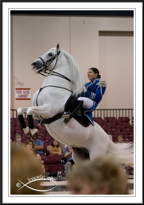 IMAGE: http://img.photobucket.com/albums/v436/cfpackerfan/IMG_6831s.jpg