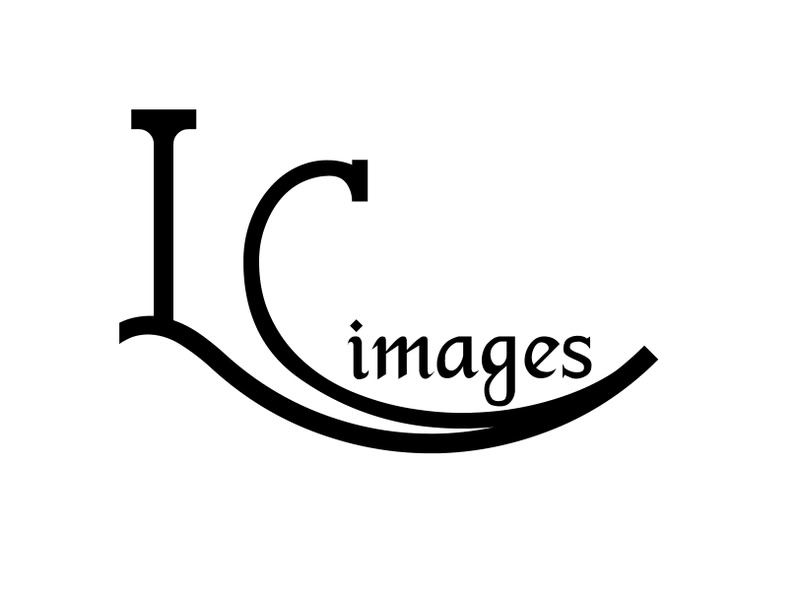 IMAGE: http://img.photobucket.com/albums/v436/cfpackerfan/Lisalogo2.jpg