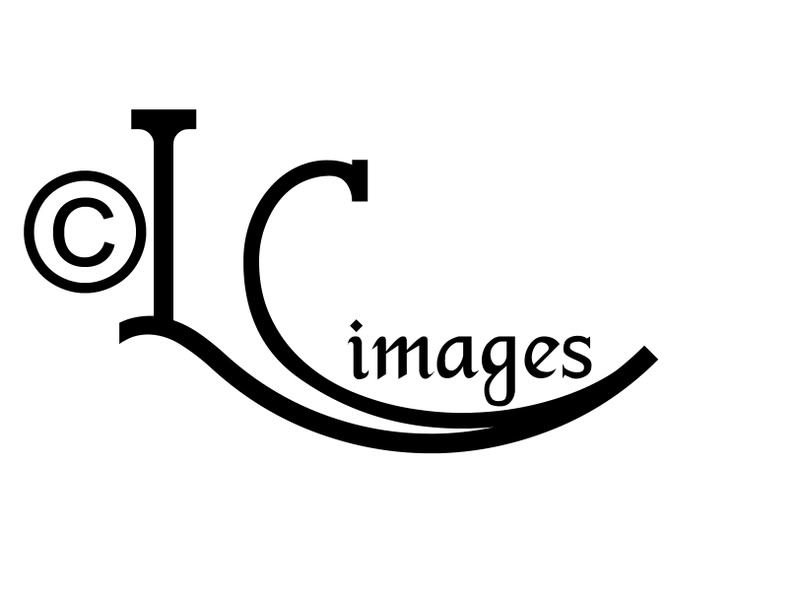 IMAGE: http://img.photobucket.com/albums/v436/cfpackerfan/logolisac-2copy.jpg