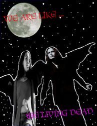 Image hosted by Photobucket.com