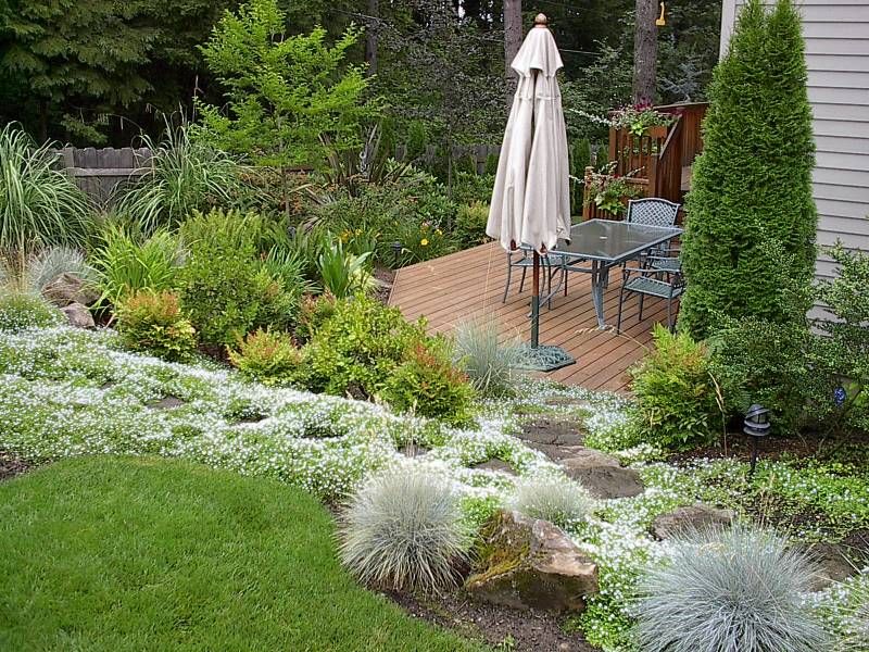 Patio Landscape