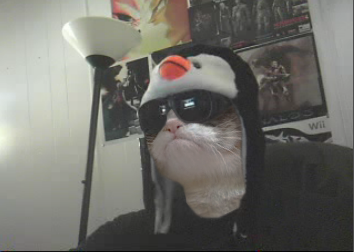 penguincat_zps2319dc7e.png