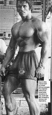 arnold.jpg