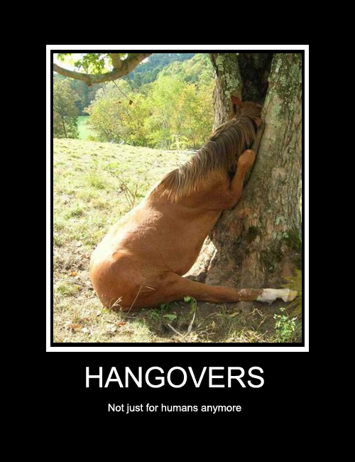Hangovers.png