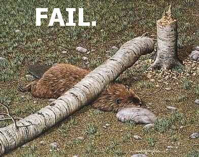 Failbucket