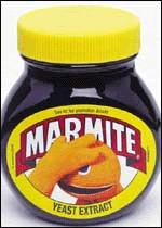 marmite made zippy gay