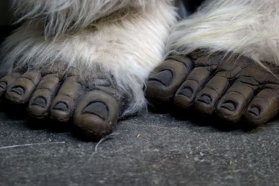 creature_feet_7743.jpg