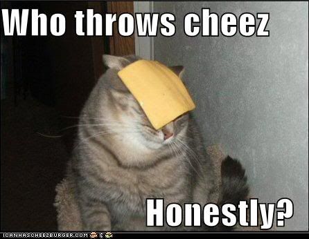 cat-cheese-1.jpg