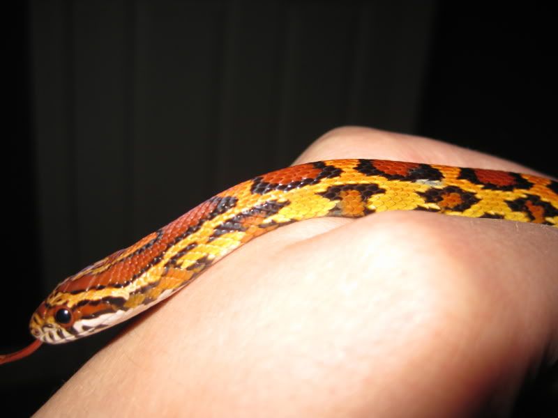 IMG_2141.jpg