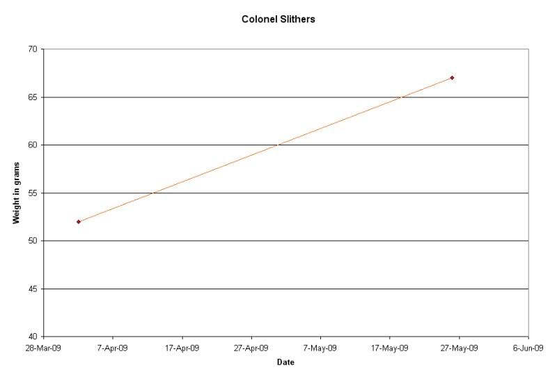 graph1.jpg