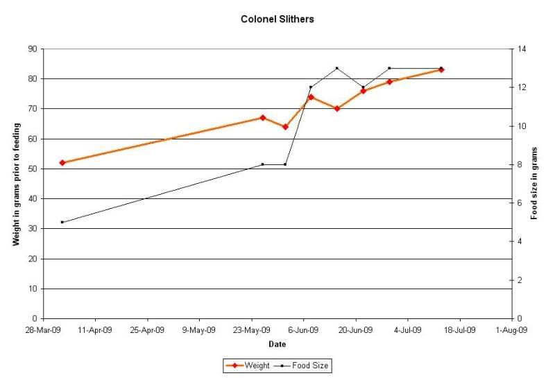 graph2.jpg