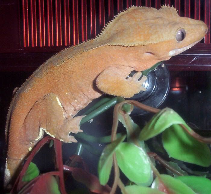 000_0806.jpg