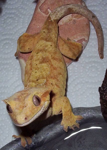 000_0877big.jpg
