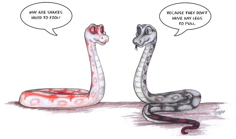 image: SnakeJoke2