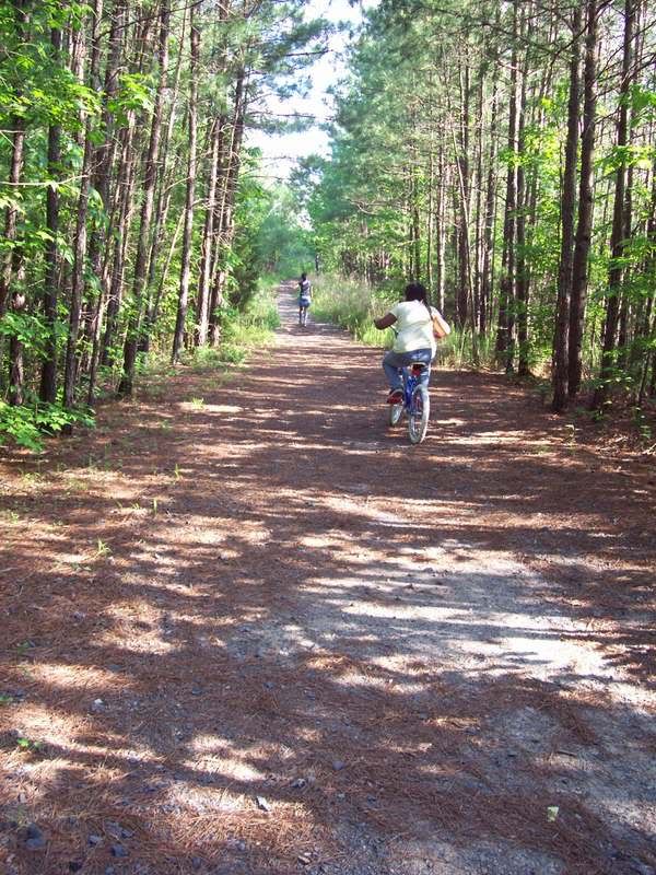 biking in the woods