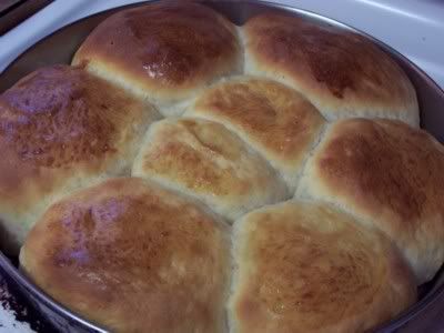 Dinner Rolls