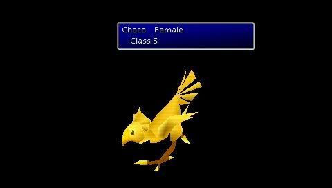 goldchocobo1.jpg