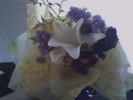 Image hosting by Photobucket