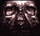 crystalskull.gif