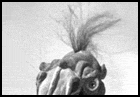 giantclaw.gif