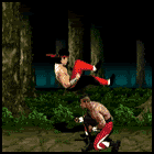 kangkick1.gif