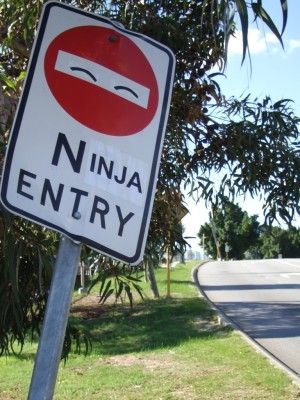 ninjaentry.jpg