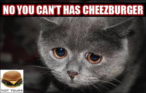 nocheez4u.jpg